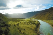 西藏生态保护